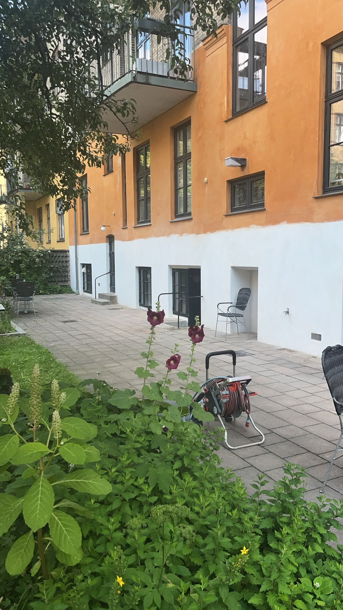 Kalket facade på ejendom med hvid sokkel og okkerfarvet murværk